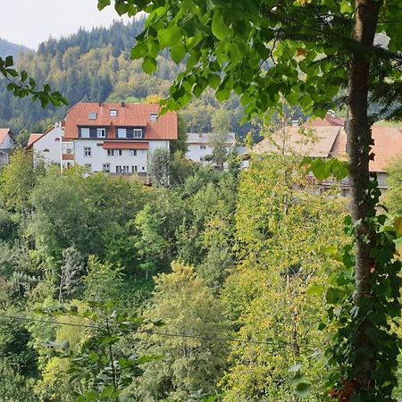 Ferienwohnung Auf Dem Bueckle Kleines Wiesental Eksteriør bilde