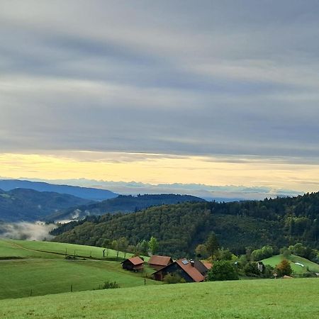 Ferienwohnung Auf Dem Bueckle Kleines Wiesental Eksteriør bilde