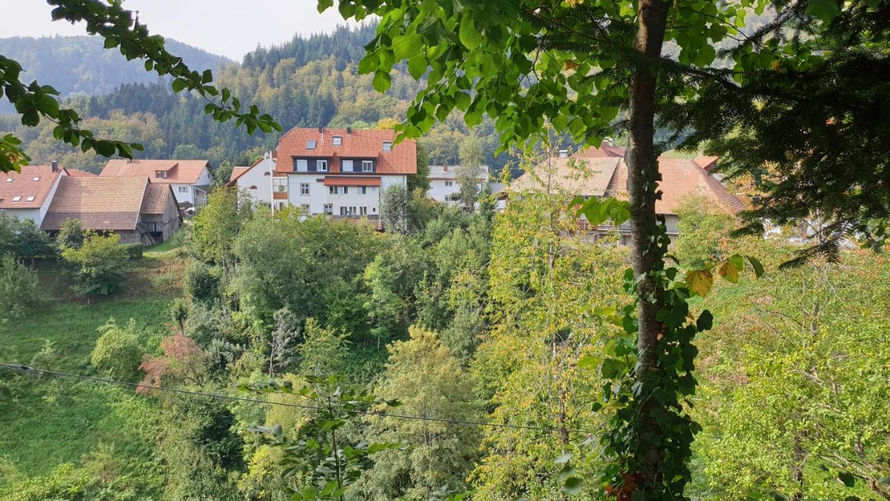 Ferienwohnung Auf Dem Bueckle Kleines Wiesental Eksteriør bilde