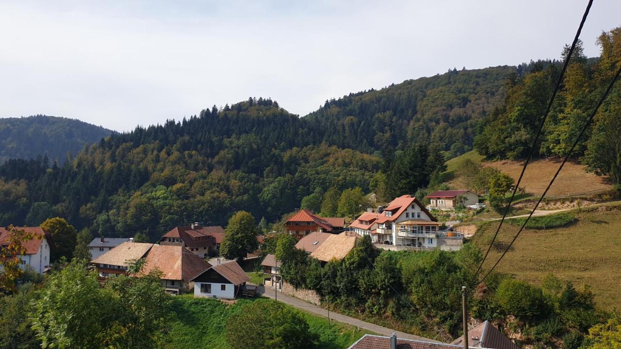 Ferienwohnung Auf Dem Bueckle Kleines Wiesental Eksteriør bilde