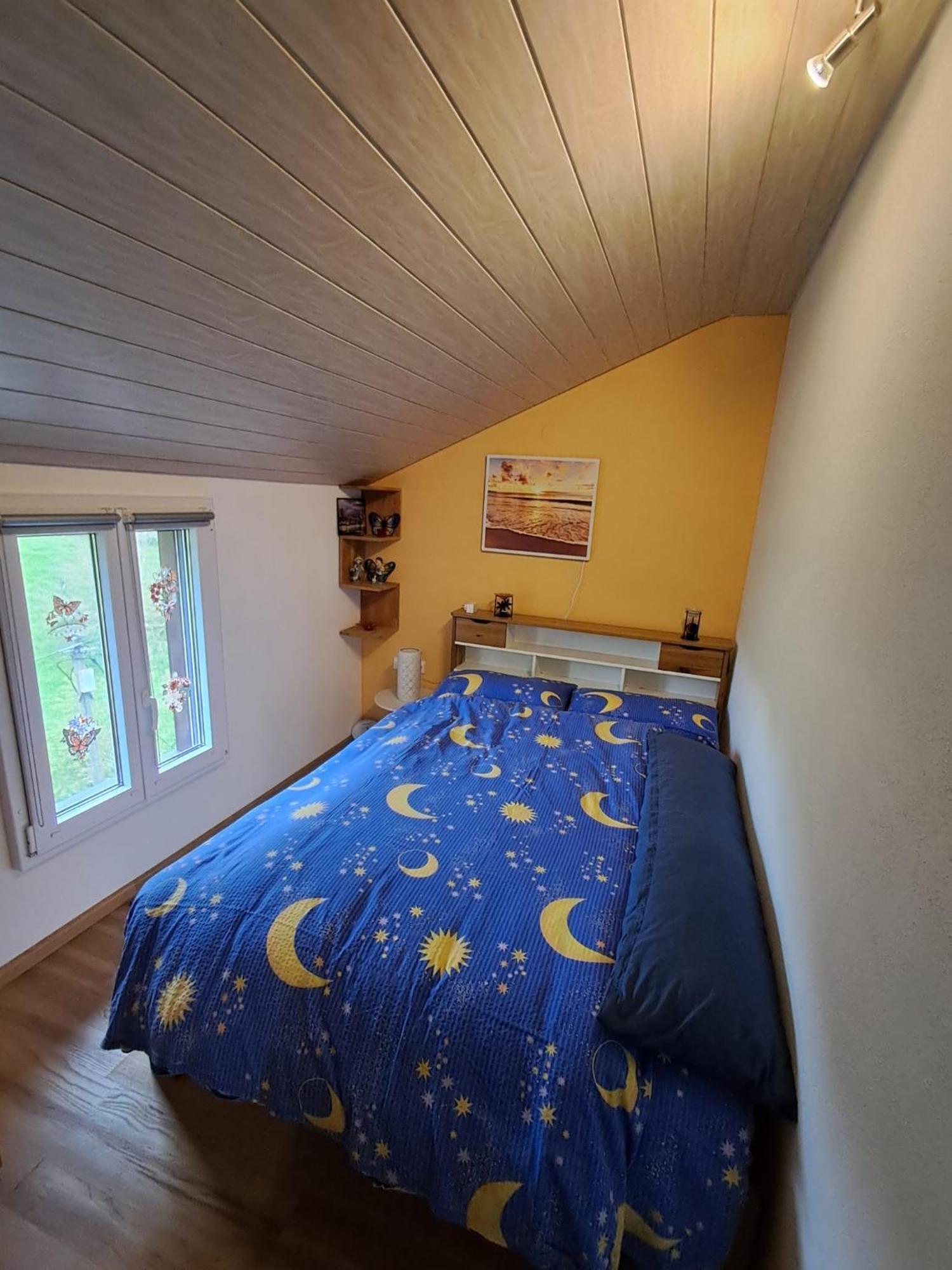 Ferienwohnung Auf Dem Bueckle Kleines Wiesental Eksteriør bilde
